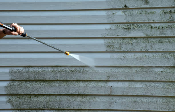 Mold Removal and Inspection in Chapman, KS