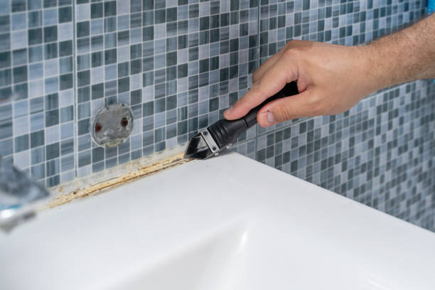 Best Office Mold Removal Services  in Chapman, KS