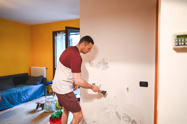 Best Water Damage Restoration  in Chapman, KS