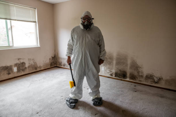 Best Residential Mold Removal  in Chapman, KS